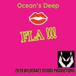 Artwork voor "Fla (Original mix)"