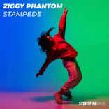 Artwork für "Stampede"