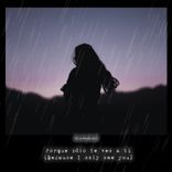 Porque Sólo Te Veo a Ti