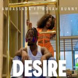 Portada para "Desire"