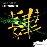 Artwork voor "Labyrinth"