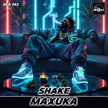 Artwork voor "Shake"