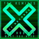 Artwork for "What You Need (The Remixes)"