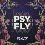 Artwork for "Psy & Fly"
