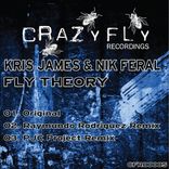 Artwork for "Fly Theory"