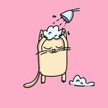 Portada para "Little stars"