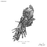 Portada para "Nativo"