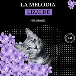 Artwork for "La Melodia"