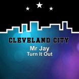 Portada para "Turn It Out"