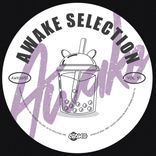 Artwork voor "AWK Selection Vol. 55"