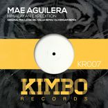 Artwork for "Himalayan Expedition"