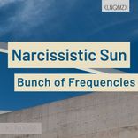 Portada para "Narcissistic Sun"