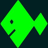 Portada para "Anyway"