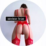 Artwork for "The Limit"