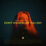 Artwork for "Don't Know What You Say"