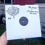 Portada para "The Secret / Stumbling In The Dark"