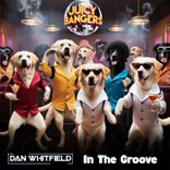 Artwork für "In the Groove"