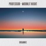 Artwork for "Moonlit Night"