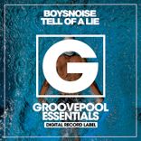 Artwork voor "Tell Of A Lie"