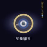 Artwork for "Pure Kalotype, Vol. 1"