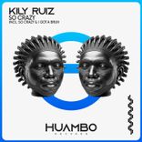 Artwork voor "So Crazy"