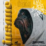 Artwork voor "Insane"