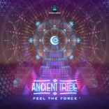 Artwork for "Feel the Force"