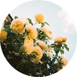 Artwork for "New Thoughts"