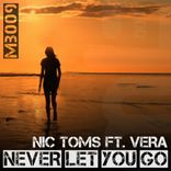 Artwork for "Never Let You Go"