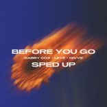 Artwork for "Before You Go"