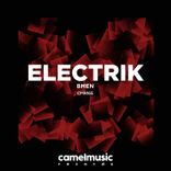 Artwork for "Electrik"