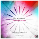 Artwork for "One Night in Goa"