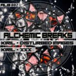 Artwork for "Disturbed Images/XXX"