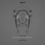 Dawn in the Rotting Paradise