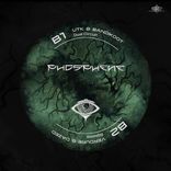 Artwork for "Dual Circuit"