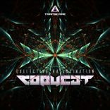 Artwork for "Collective Hallucination"