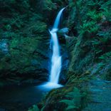 Artwork for "Soft Landing"