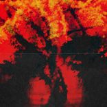 Artwork for "Pterygoid"