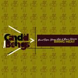 Artwork for "Bring Heat"