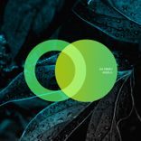 Artwork for "Aquila"