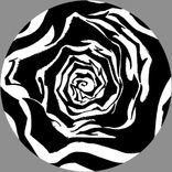 Artwork for "Que Cara É Essa"