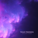 Portada para "True Friends"