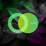 Artwork for "Hypnotic Trip"