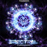 Artwork for "Turnado"
