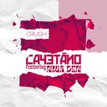 Artwork voor "Crush"