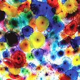 Portada para "Passport"