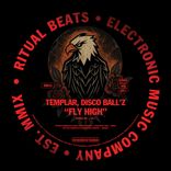 Artwork for "Fly High"