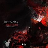 Artwork for "Jungle of 303"