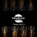 Artwork for "Tribal Beat 1"