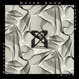 Portada para "Never Know"